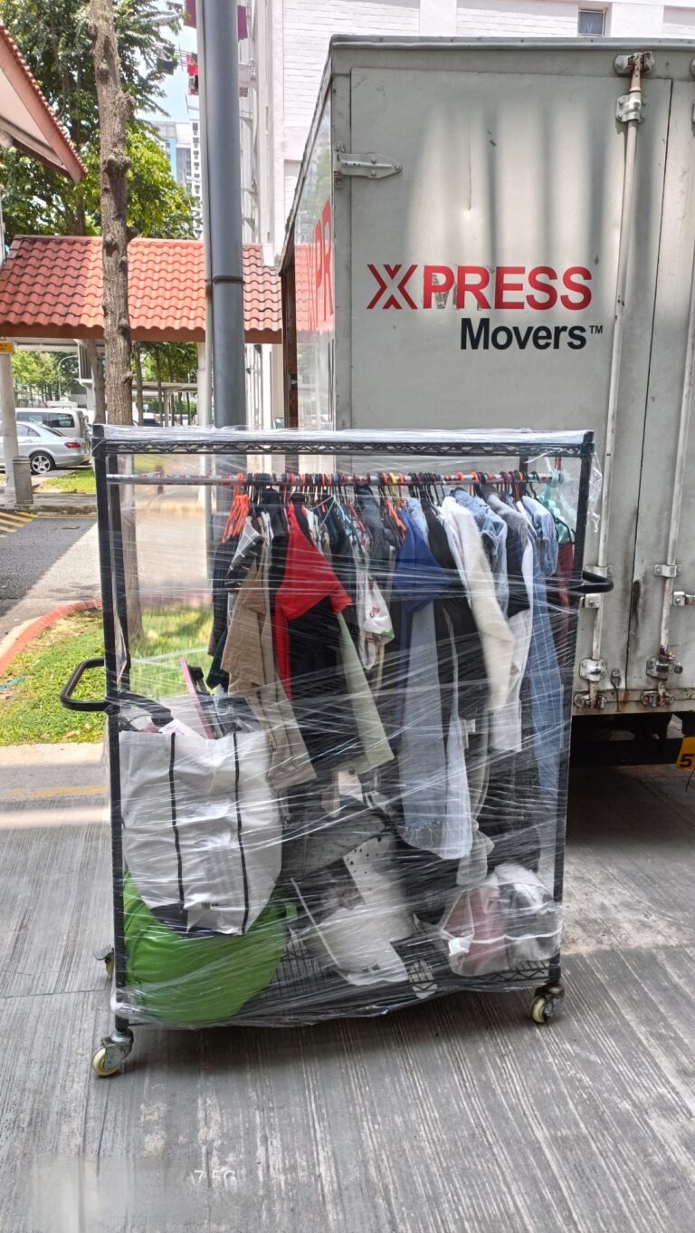 Hanger Rack For Clothes For Moving